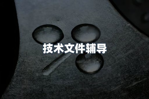 技术文件辅导